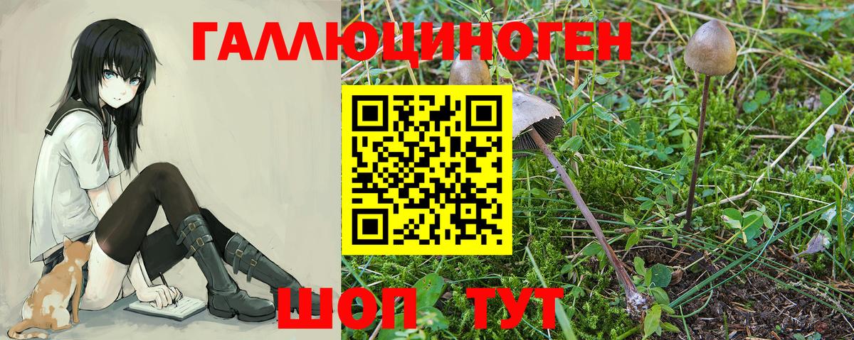 Галлюциногенные грибы GOLDEN TEACHER Углич