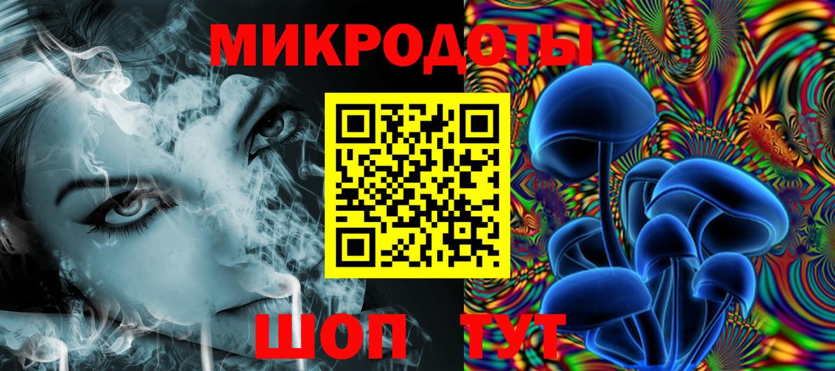 Галлюциногенные грибы MAGIC MUSHROOMS  Псилоцибиновые грибы Psilocybe  Углич  Вход с VPN 